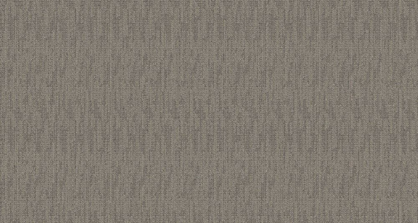 PECLE 10