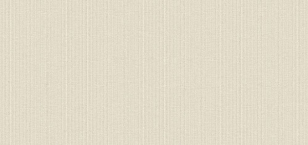 PLAIN 20