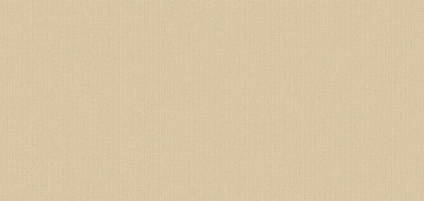 PLAIN 24