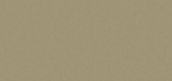 PLAIN 70