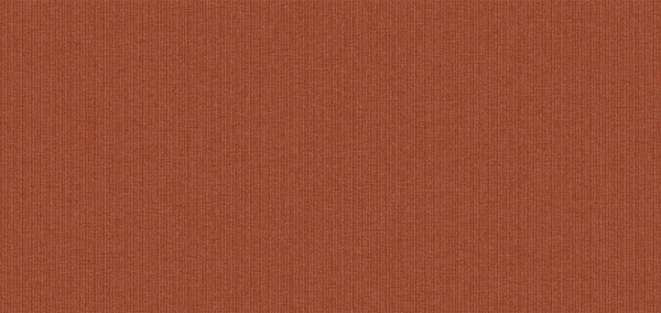 PLAIN 24