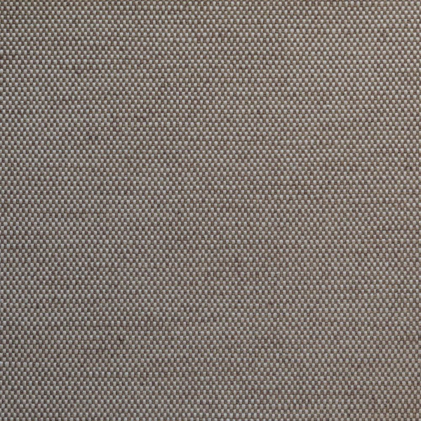 PRONAOS 10